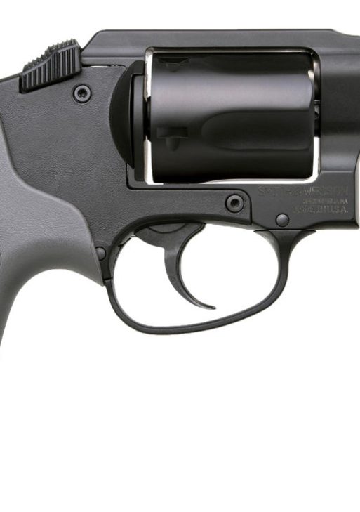 S&W BG 38SP REV 1.9B GRAY