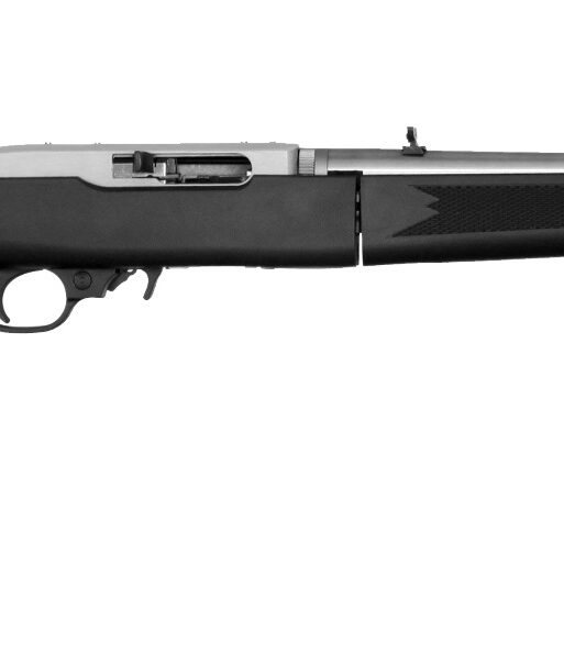 RUG 10/22-TD 22LR SS BLK SYN