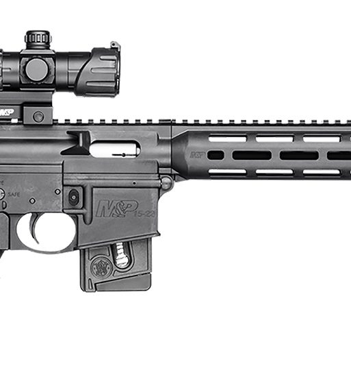 Smith & Wesson 12723 M&P15 Sport OR 22 LR 10+1  16.50" Carbon Steel Barrel, Adjustable 6 Position Stock, M&P100 4MOA Red/Green Dot, A2 Flash Hider, Functioning Charging Handle, 2 Position Safety