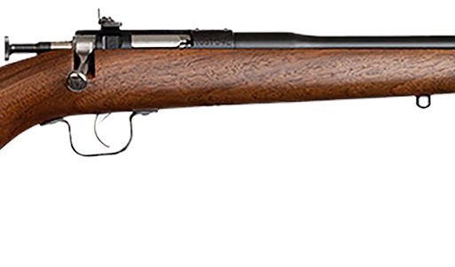 Chipmunk 00001 Youth  22 LR 1rd 16.13" Blued Steel Barrel & Receiver, American Walnut Fixed Wood Stock