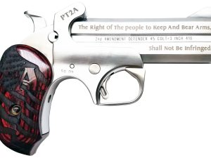 Bond Arms PT2A Protect the 2nd Amendment  38 Special,357 Mag 4.25" 2 Round Stainless Steel Rosewood Grip