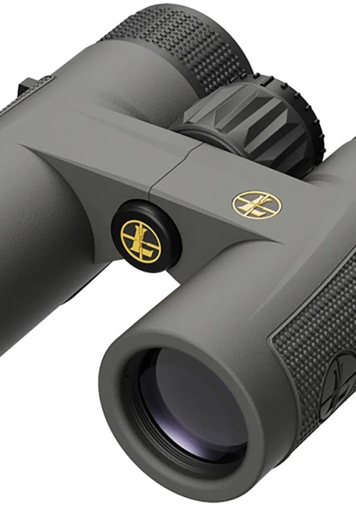 Leupold 172660 BX-4 Pro Guide  HD 10x32mm Roof Prism Shadow Gray Armor Coated