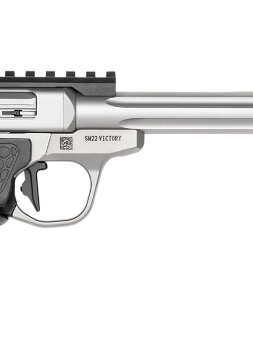 S&W SW22 VICPC TGT 6SS RD