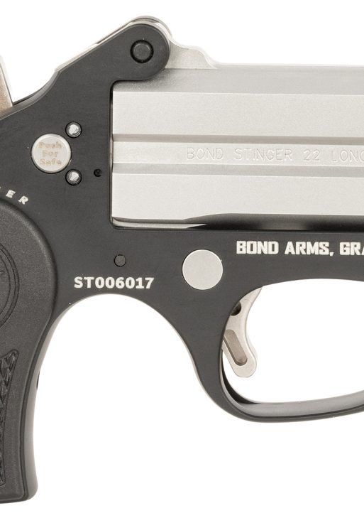 Bond Arms BAST Stinger  22 LR 2rd, 3" Double Matte Stainless Steel Barrel, Anodized Aluminum Frame, Black Nylon Grip, Rebounding Hammer, Crossbolt Safety