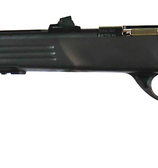 Crickett KSA693 Adult Pistol  22 LR 1rd 10.50" Blued Threaded Barrel w/Cap, Williams Fire Sights, Integrated Picatinny Accessory Rail, Synthetic Grip, Rebounding Firing Pin Safety