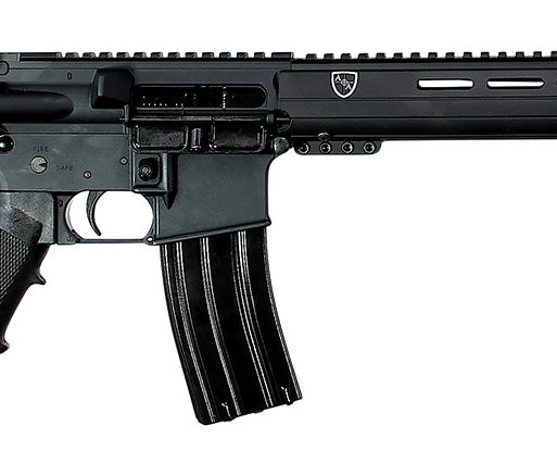 Alexander Arms R300ST Standard  300 Blackout  30+1 16" Barrel, Black Anodized Receiver, Black Adaptive Tactical EFX Stock, Black Polymer Grip, Optics Ready