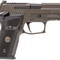 Sig Sauer E29R9LEGIONSAOR2 P229 Compact Legion SAO 9mm Luger 3.90" 15+1, Legion Gray Cerakote, Picatinny Rail/Beavertail Frame, Romeo 1 Cut Slide, Black G10 Grip, Night Sights