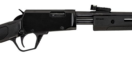 Rossi  Gallery  Pump 22 WMR 12+1 20", Black, Polished Steel Barrel/Rec, Synthetic Stock, Fiber Optic Sights