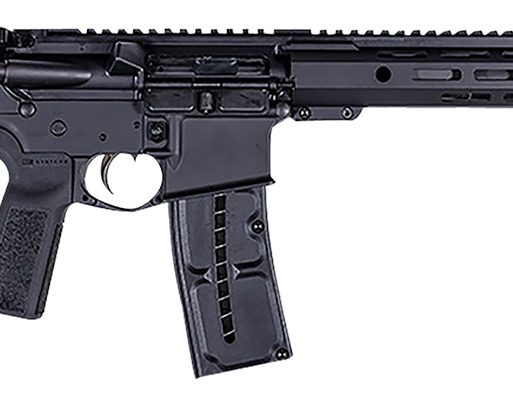 Franklin Armory 0010058BLK F17 L 17 WSM 20+1 16" Black Precision Barrel, Black Aluminum w/M-LOK & Picatinny Rail Receiver, Black Adjustable B5 Bravo Stock