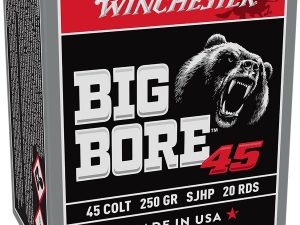 Winchester Ammo X45CBB Big Bore  45Colt 250gr Semi Jacketed Hollow Point 20 Per Box/10 Case