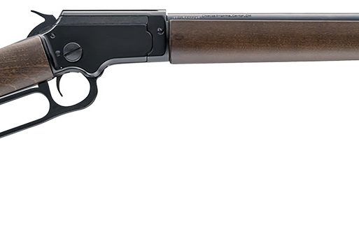 Chiappa Firearms 920432 LA322 Carbine Takedown 22 LR 15+1 18.50" Threaded, Blued Barrel/Rec, Pistol Grip Style Stock, Adj. Sights, Dovetail Base