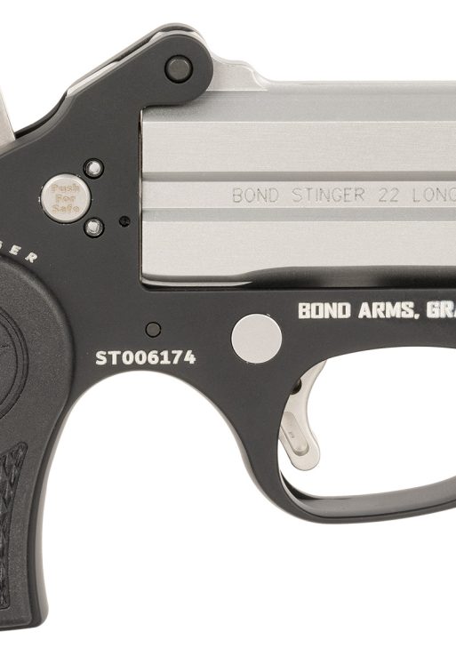 Bond Arms BASL Stinger  22 LR 2rd, 3" Double Stainless Steel Barrel
