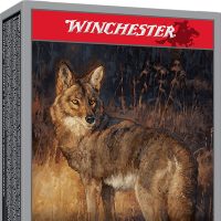 Winchester Ammo X243PXP Varmint X  243Win 65gr Extreme Point 20 Per Box/10 Case