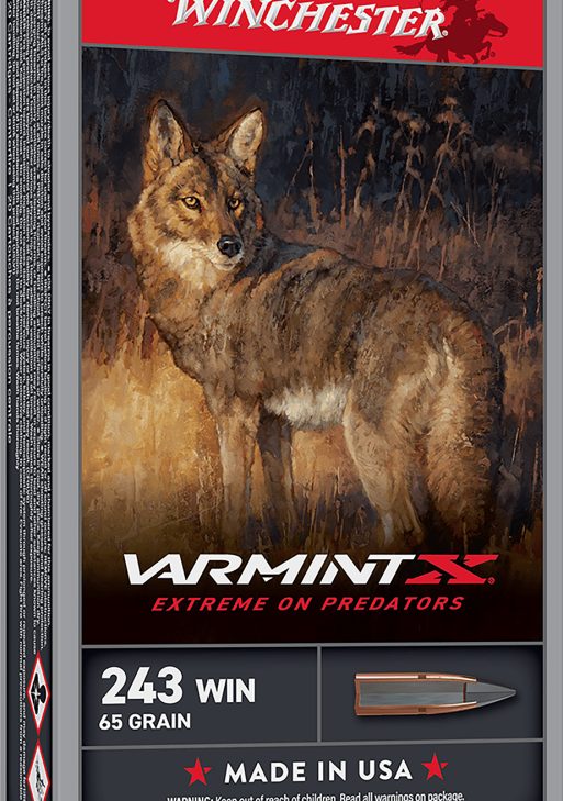 Winchester Ammo X243PXP Varmint X  243Win 65gr Extreme Point 20 Per Box/10 Case