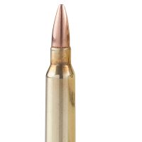 TR&Z PPRM5561P  Range Master 5.56x45mm NATO 55 gr Full Metal Jacket Boat Tail 125 Per Box/ 4 Case