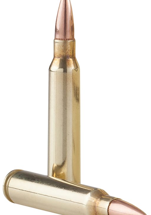 TR&Z PPRM5561P  Range Master 5.56x45mm NATO 55 gr Full Metal Jacket Boat Tail 125 Per Box/ 4 Case