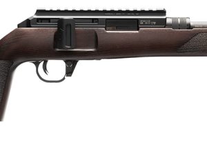 WAL*5800100 HAMMERLI B1 22LR 22 WD 10RD E