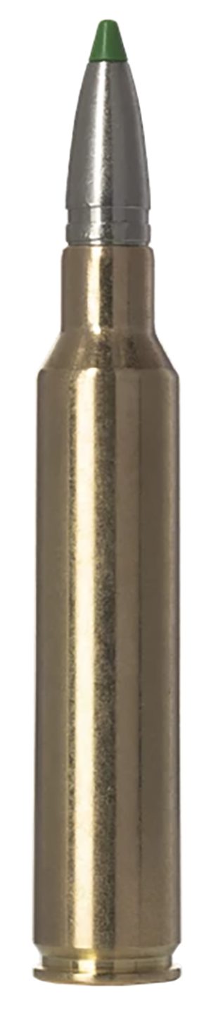 Norma Ammunition 20177772  Ecostrike 300PRC 165gr 20 Per Box/10 Case