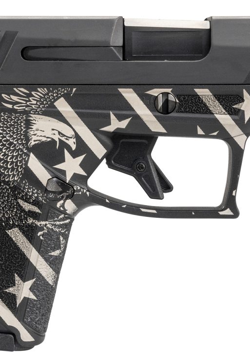 TAU 1-GX4M931EN6     GX4 9MM   3     11R EAGLE/FLG