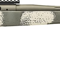 SPG BAW924300PRCG 2020 WYPNT 300PR 24 EVGRN