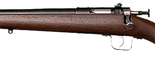 Crickett KSA2238LH My First Rifle Gen2 22 S/L/LR Single Shot 16.10" Stainless Steel Barrel & Receiver, American Walnut Fixed Stock, EZ Loader, Left Hand