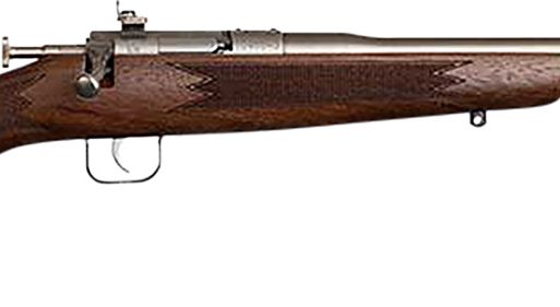 Chipmunk 10002 Deluxe The Original Youth Deluxe Single Shot 16.10" Satin Tapered Barrel, Satin Stainless Steel Receiver, Fixed American Walnut Stock, EZ Loader