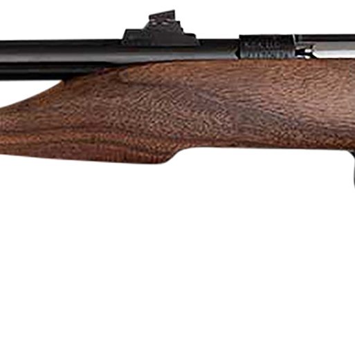 Chipmunk 40001 Hunter  Youth Frame 22 S/L/LR Single Shot 9" Threaded Blued Steel Barrel, Walnut Frame, EZ Loader