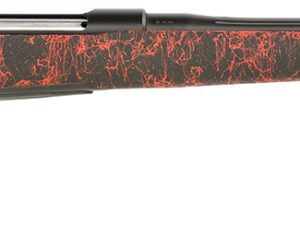 SAUER 80118101     100 PANTERA     65CRD H-S STOCK