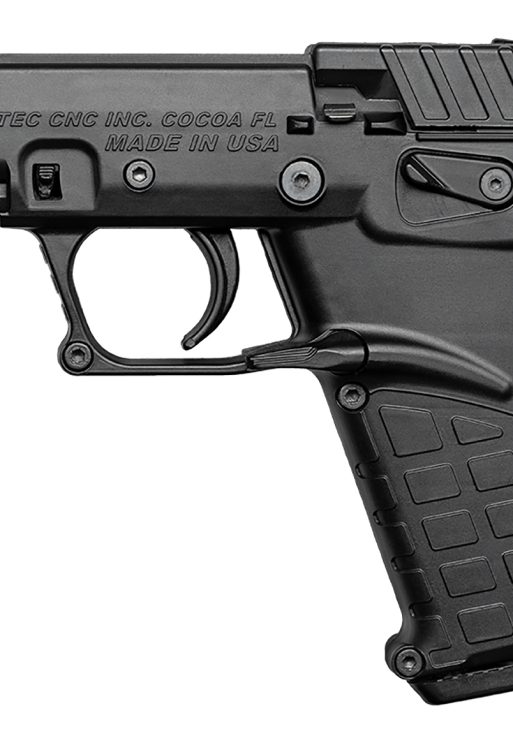Kel-Tec P17BBLK10 P17  Compact Frame 22 LR 10+1 3.80" Black Steel Barrel, Black Serrated Slide, Black Polymer Frame w/Picatinny Rail, Textured Grip, Ambidextrous