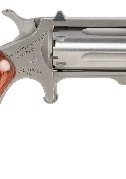 North American Arms SNTBGT Sentinel  22 WMR 5 Shot 1.42" Matte Stainless Steel Barrel, Stainless Cylinder, Matte Stainless Steel Frame, Exposed Hammer