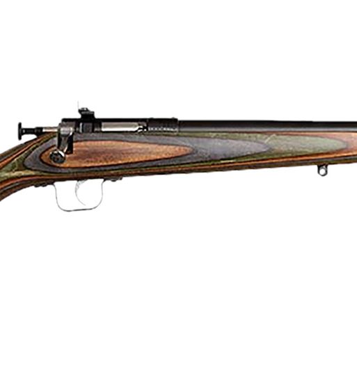 Chipmunk 00005 Gen2  22 LR 1rd 16.10" Blued Tapered Single Shot Barrel, Fixed Camo Laminate Stock