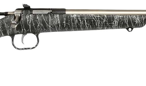 Crickett KSA2444 Gen2  Youth 22 LR 1rd 16.13" Stainless Single Shot Barrel, Stainless Steel Receiver, Black w/White Webbing Fixed Synthetic Stock
