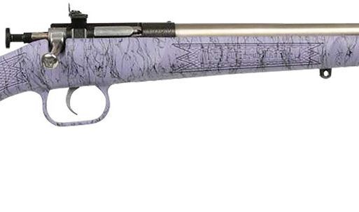 Crickett KSA2445 Gen2  Youth 22 LR 1rd 16.13" Stainless Single Shot Barrel, Stainless Steel Receiver, Purple w/Black Webbing Fixed Synthetic Stock