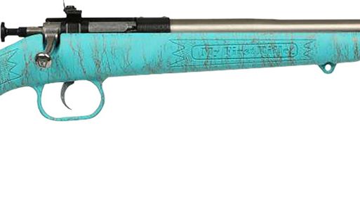 Crickett KSA2446 Gen2  Youth 22 LR 1rd 16.13" Stainless Single Shot Barrel, Stainless Steel Receiver, Blue w/Gold Webbing Fixed Synthetic Stock
