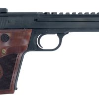 S&W 41 PC 22LR 5.5B HB 10RD