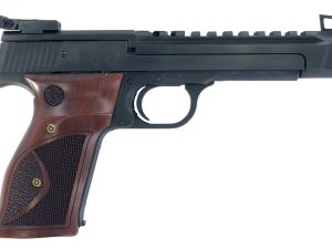 S&W 41 PC 22LR 5.5B HB 10RD