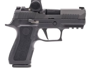 SIG 320XC9BXR3RXX10     P320  9MM   3.6 10R OR BLK