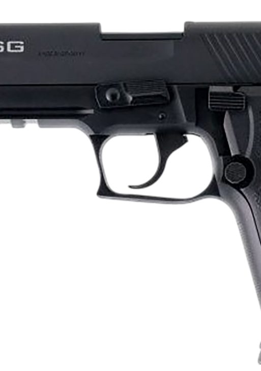 GSG GERG2213TFFA FireFly  22 LR 13+1 4.90" Black Threaded Barrel Black Aluminum Serrated Slide Black Aluminum Frame w/Picatinny Rail Textured Grip