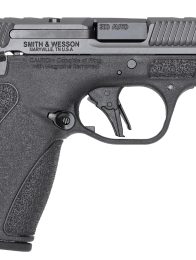 S&W BODYGRD 2.0 PC 14418 380 3.1     2X10R GRY/BLK