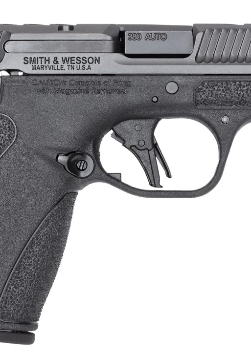 S&W BODYGRD 2.0 PC 14418 380 3.1     2X10R GRY/BLK