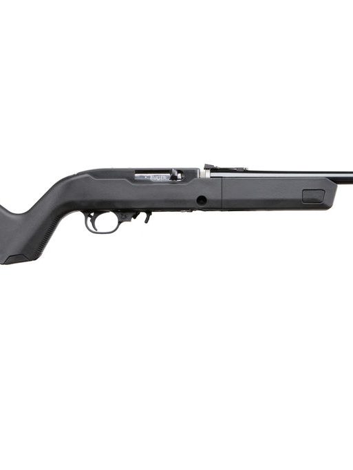 RUG 10/22 22LR 10RD B 4MAGS TL