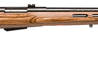 SAVAGE ARMS 25LV 204RUG BL/LAM THBHL DBM
