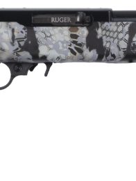 RUG 10/22 SKY 22LR 16B 10R DE