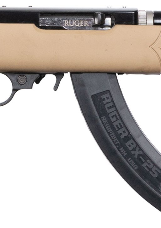 RUG 10/22-TD 22LR TAN 25RD DE