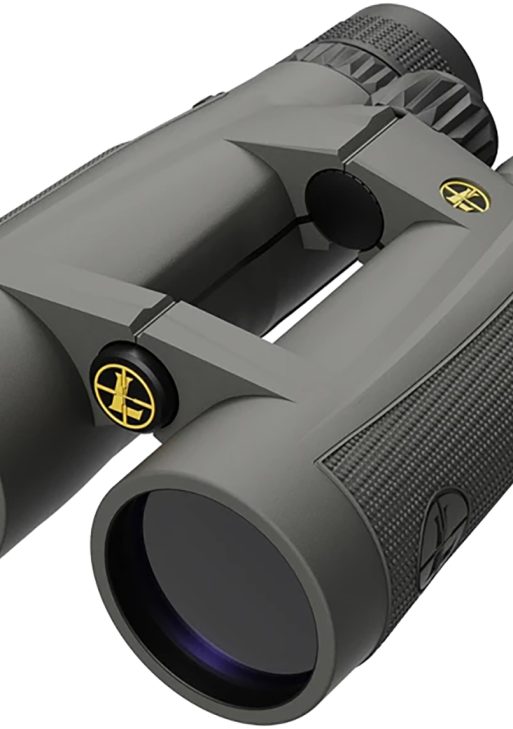 Leupold 172457 BX-5 Santiam HD 15x56mm Abbe-Koenig Roof Prism Shadow Gray Armor Coated
