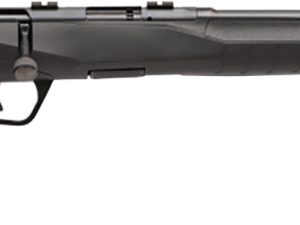 SAV B17F COMP 17HMR BA 10RD