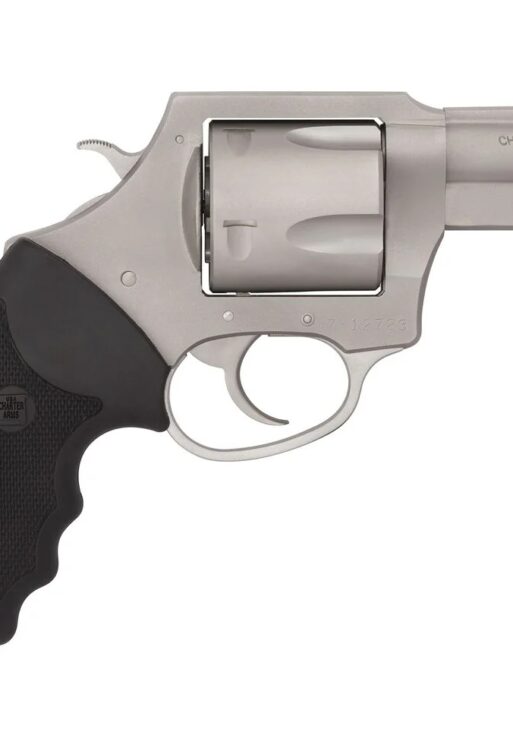 CHARTER ARMS BULLDOG 45LC STAINLESS 2.5"