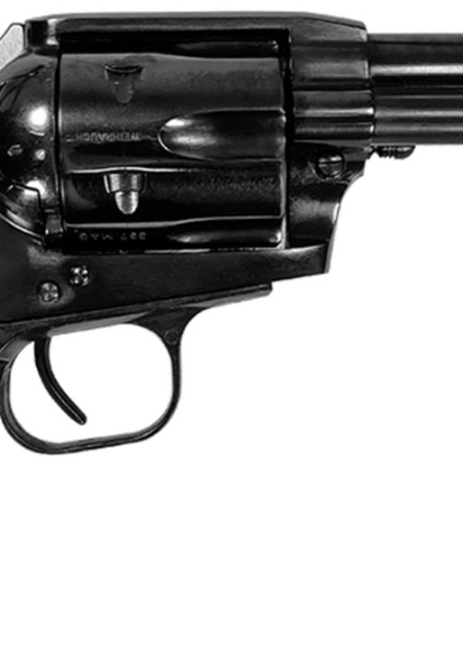 EAA BOUNTY H 22LR/22M 4.75B 6R