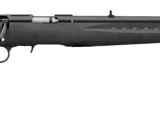 RUG AM RFL RF 17HMR 9RD B