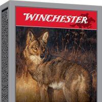 Winchester Ammo X223P1 Varmint X  223Rem 40gr Polymer Tip Rapid Expansion 20 Per Box/10 Case